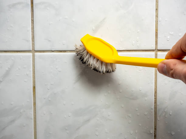 Best Certified Mold Removal  in Rio Grande City, TX