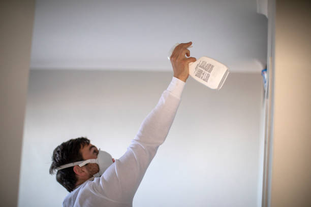 Best Residential Mold Removal  in Rio Grande City, TX