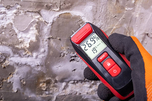 Best Emergency Mold Removal  in Rio Grande City, TX
